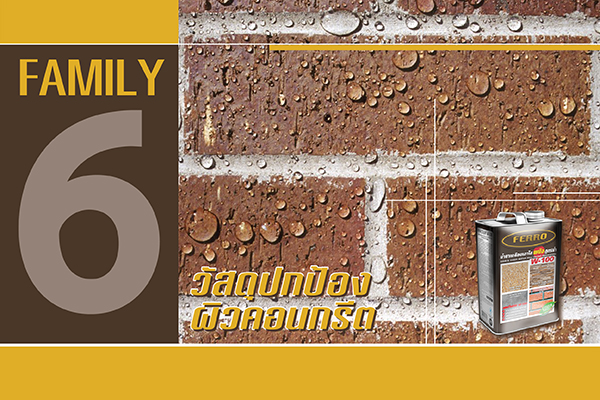 FAMILY 6 วัสดุปกป้องผิวคอนกรีต