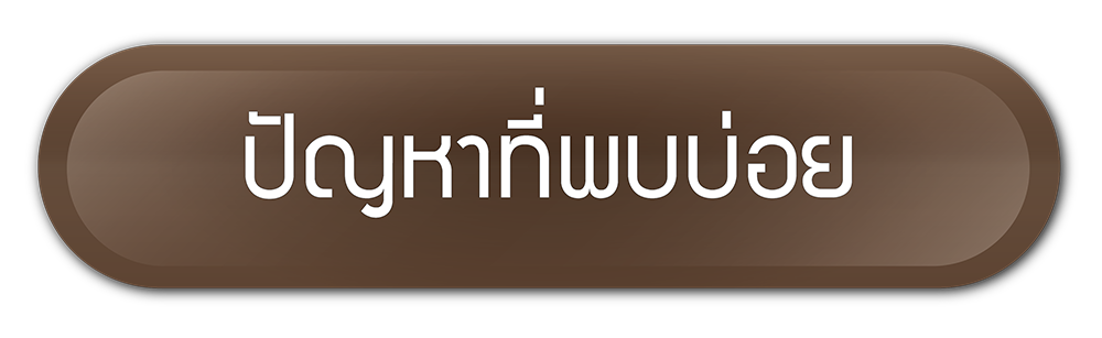 ปัญหาที่พบบ่อย