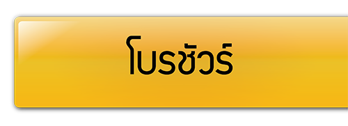 โบรชัวร์